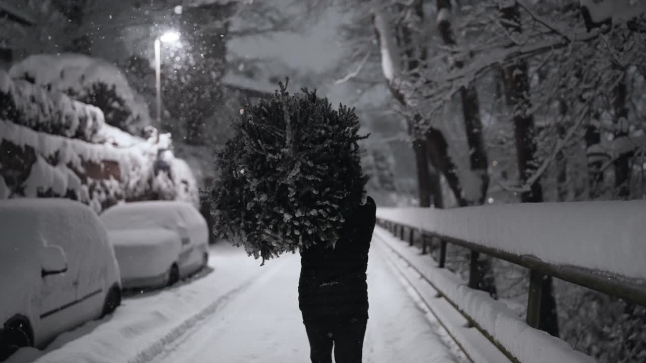 在雪中扛着圣诞树回家视频素材