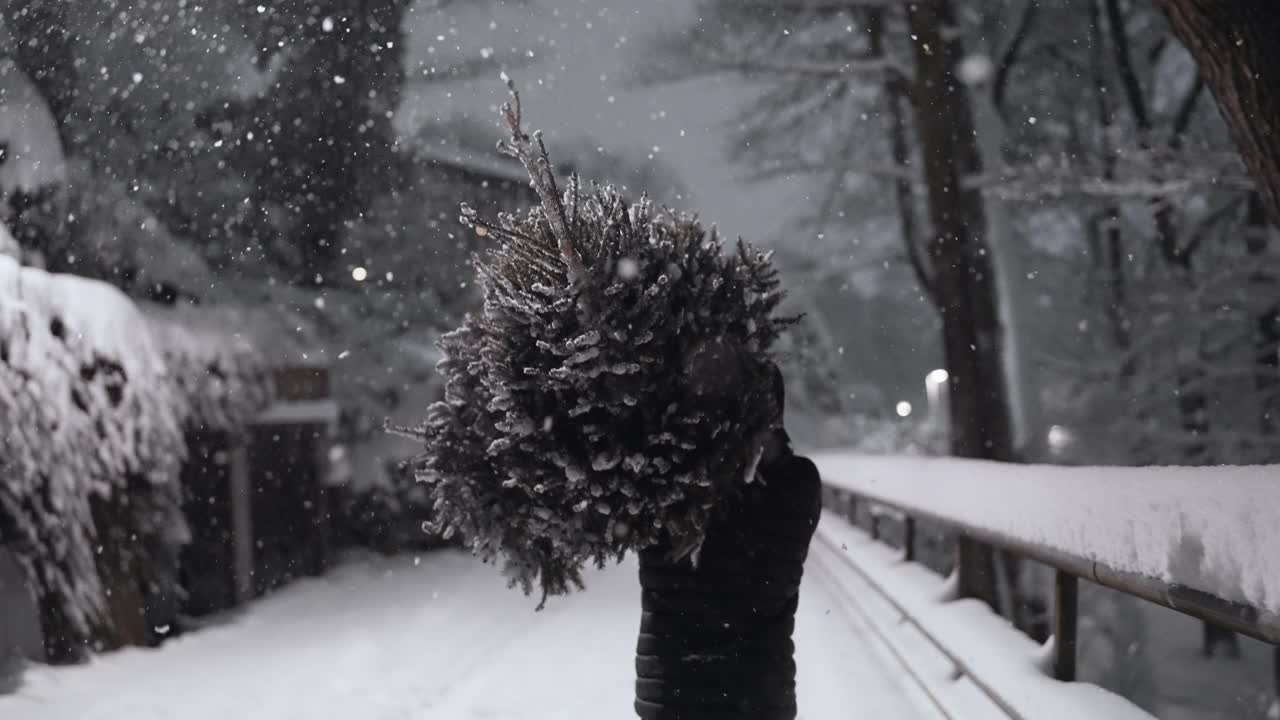 在雪中扛着圣诞树回家视频素材