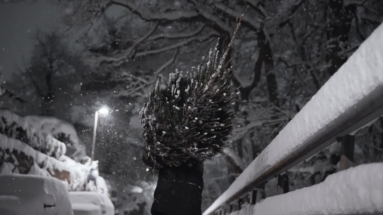 在雪中扛着圣诞树回家视频素材