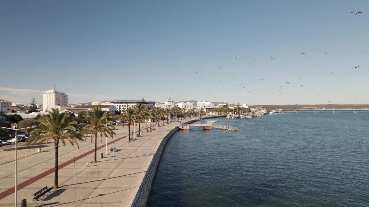 葡萄牙Portimao，人们沿着Arade河散步。海鸥飞视频素材