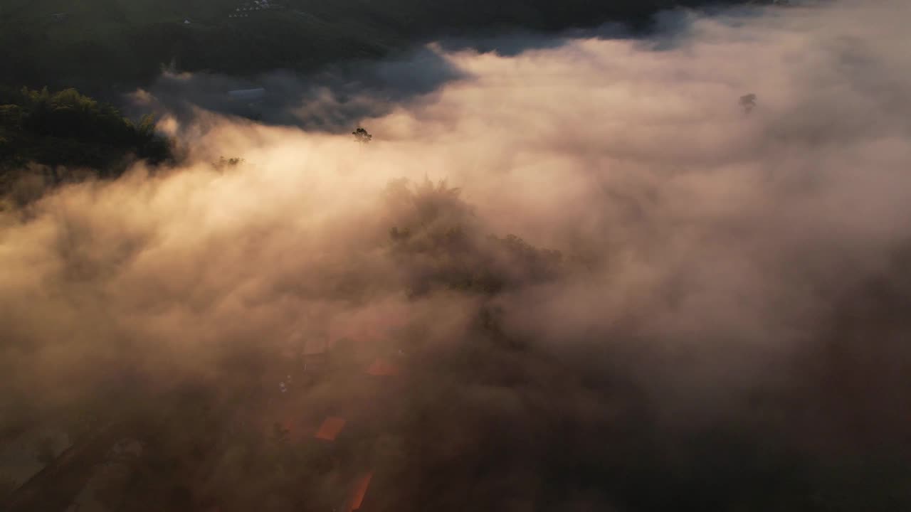 4K森林中朦胧日出的鸟瞰图。泰国的热带雨林视频素材