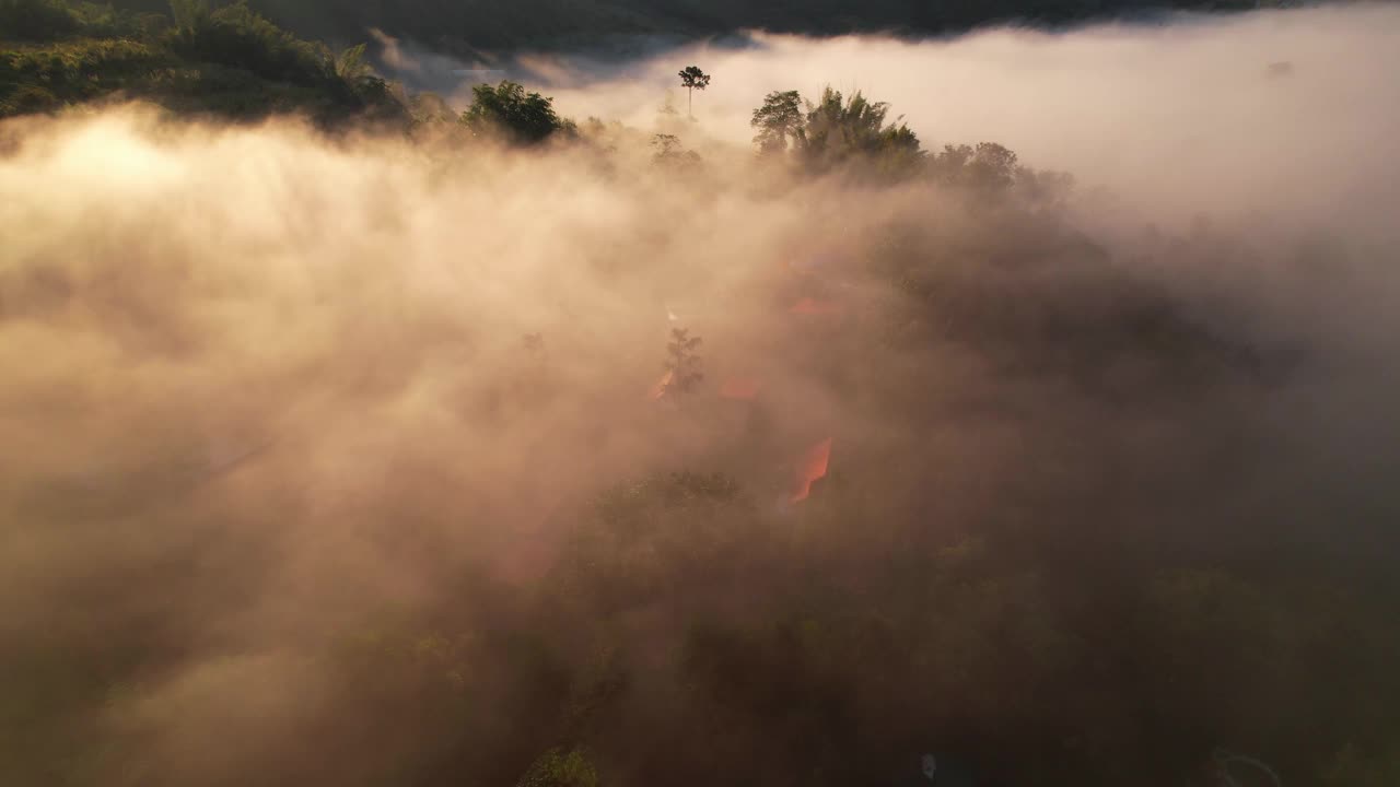 4K森林中朦胧日出的鸟瞰图。泰国的热带雨林视频素材