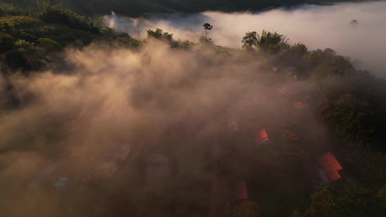 4K森林中朦胧日出的鸟瞰图。泰国的热带雨林视频素材