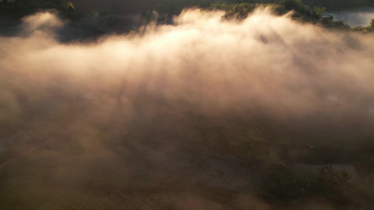 4K森林中朦胧日出的鸟瞰图。泰国的热带雨林视频素材