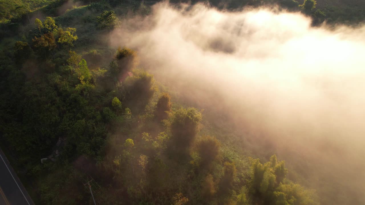 4K森林中朦胧日出的鸟瞰图。泰国的热带雨林视频素材