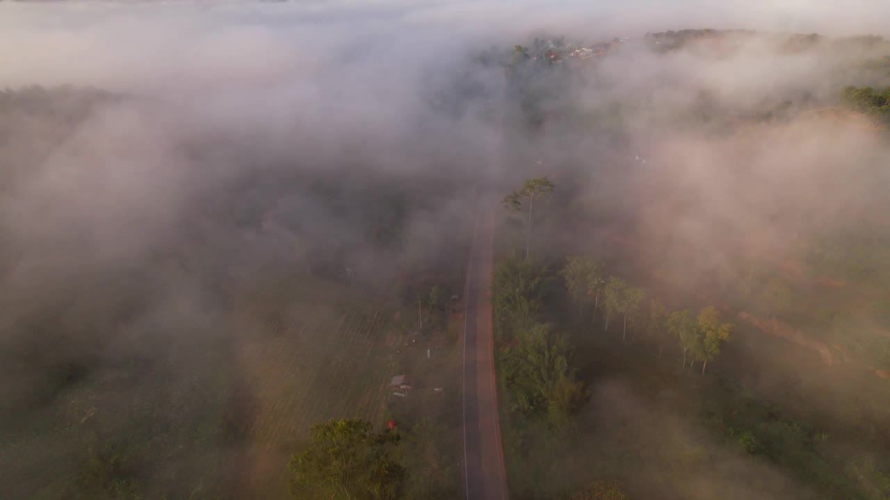 4K雾中的高山路。烟雾弥漫的热带森林。无人机鸟瞰图视频素材