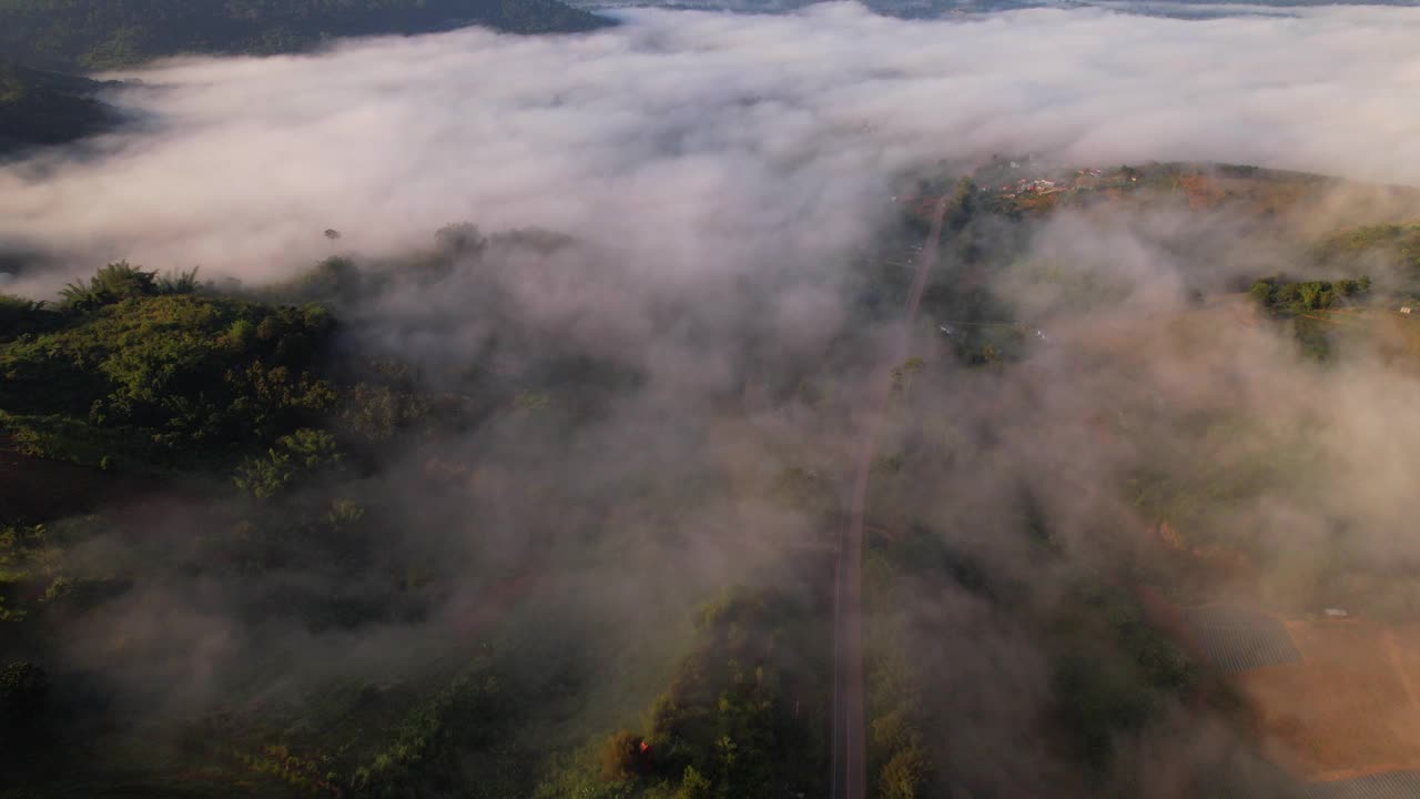 4K雾中的高山路。烟雾弥漫的热带森林。无人机鸟瞰图视频素材