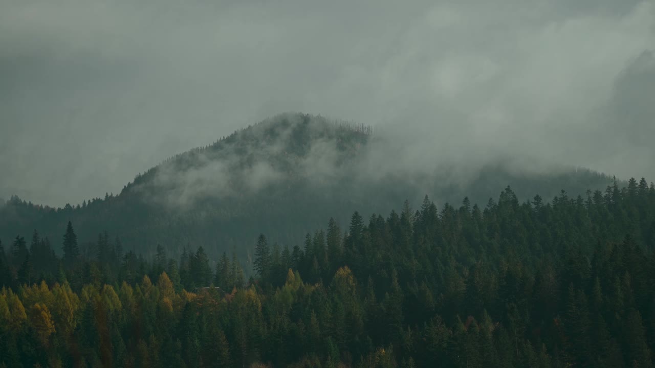 雾蒙蒙的景观，黑暗的森林在低云层中的山。阴森的大气风景，针叶树在神秘的浓雾中视频素材