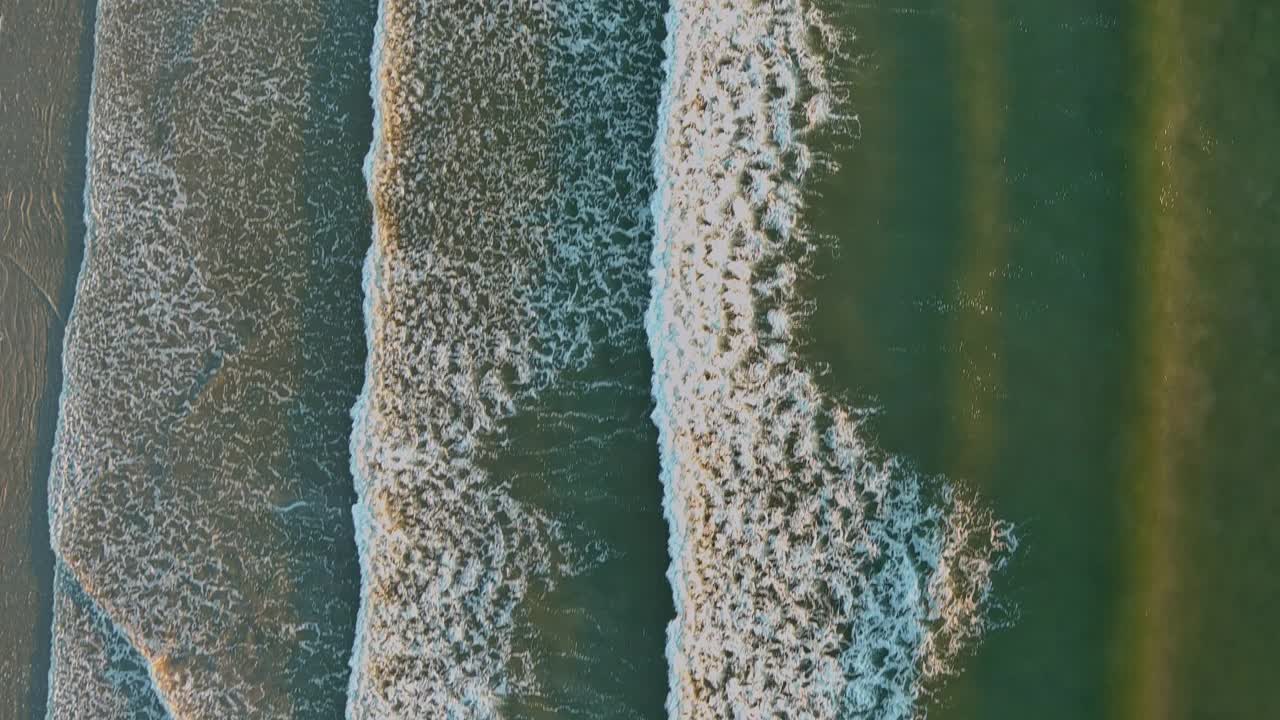 飞过沙滩上的海浪视频素材