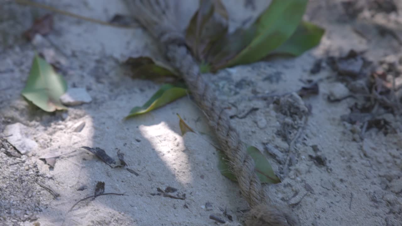 中近距离拍摄的一名男子准备用绳索荡进天然井，这是在丛林中的生态度假胜地视频素材