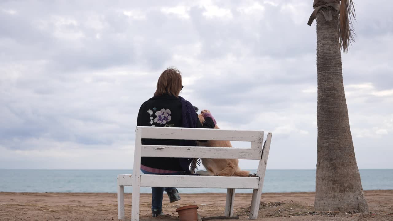 后视图女人坐在长凳上与她的金毛猎犬在冬天的一天。视频素材