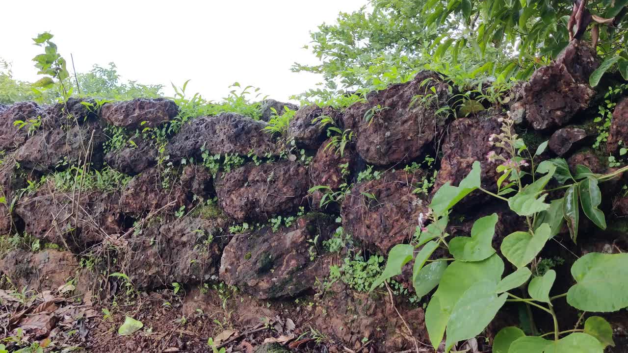 美丽的自然景观充满草甸和绿色附近的石滩视频素材