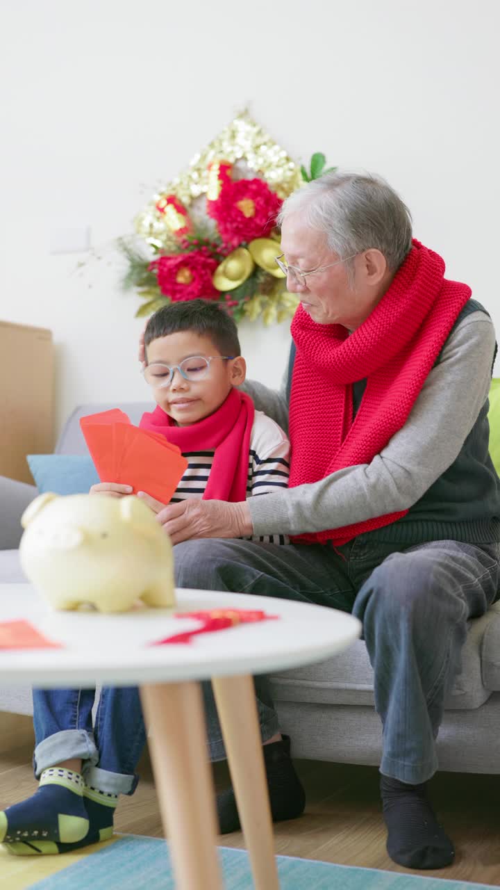 祖父和孙子视频素材