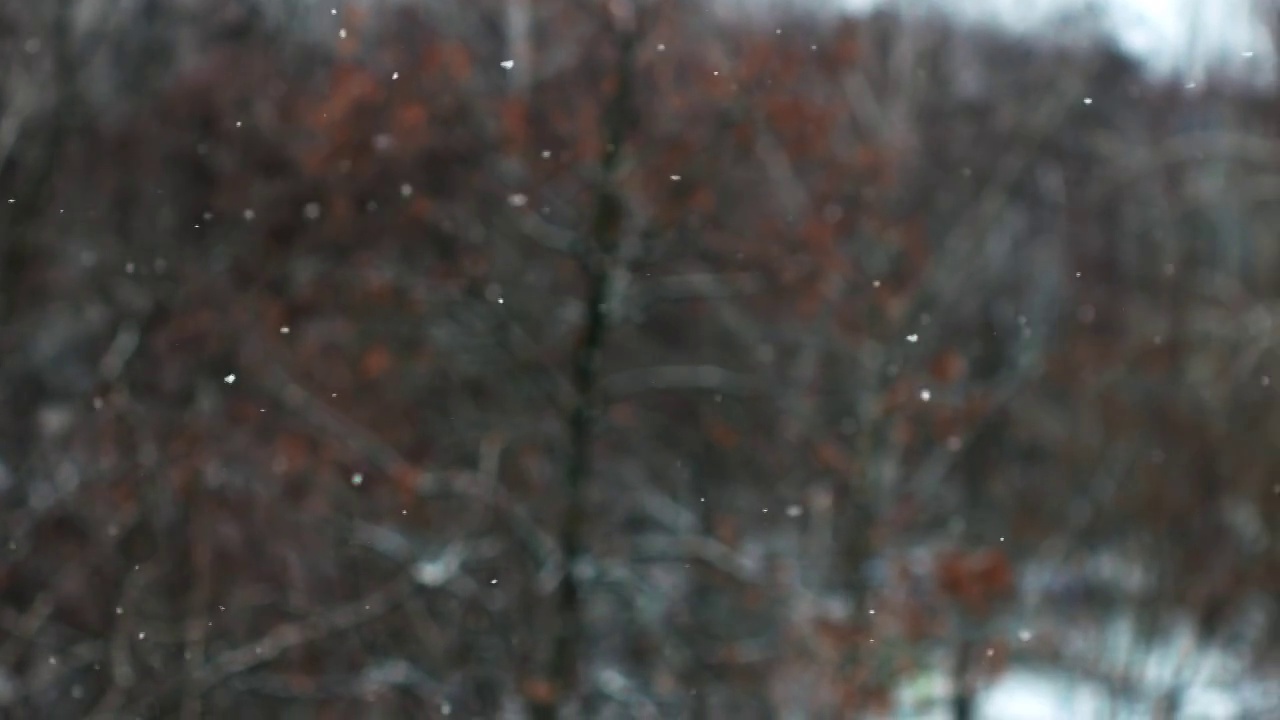 美丽的冬天背景与飘落的第一场雪视频素材