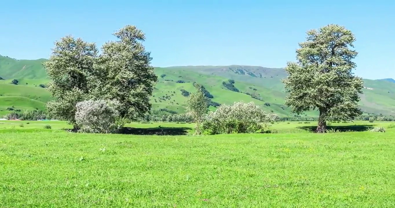 绿色的草和山与森林在蓝天下，平移镜头，实时视频。视频素材