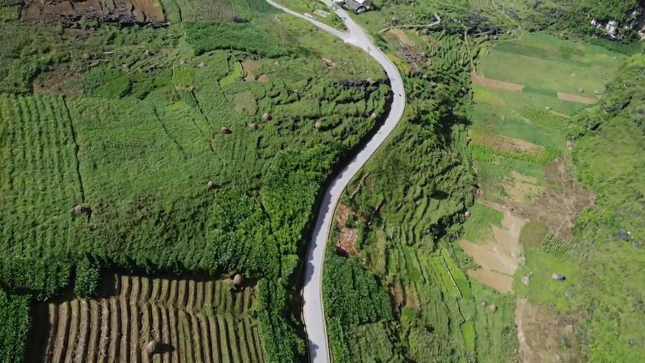 鸟瞰图的道路在山区和绿色森林在亚洲，汽车和摩托车通过视频素材