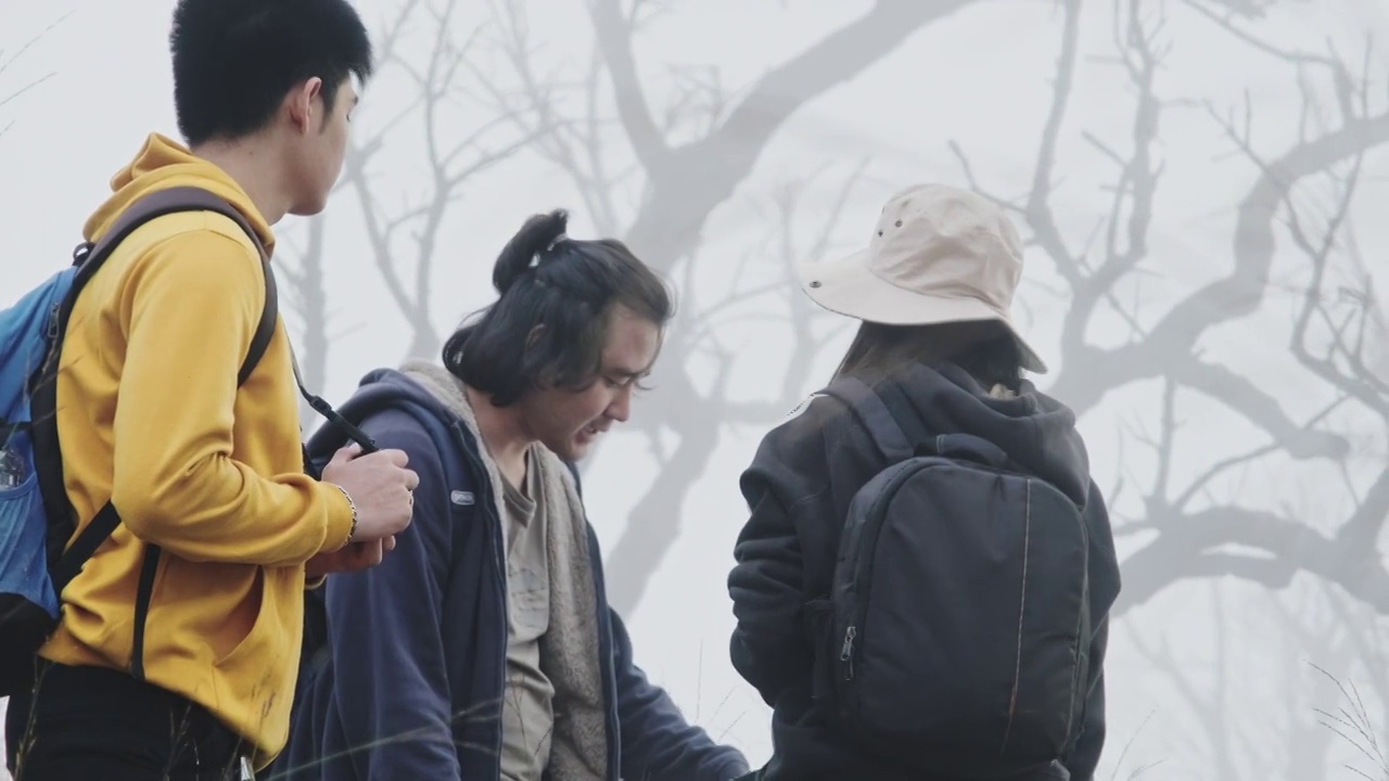 一群亚洲游客背包穿越森林和高山，去户外看大自然。野生动物概念中的徒步和步道活动。视频素材