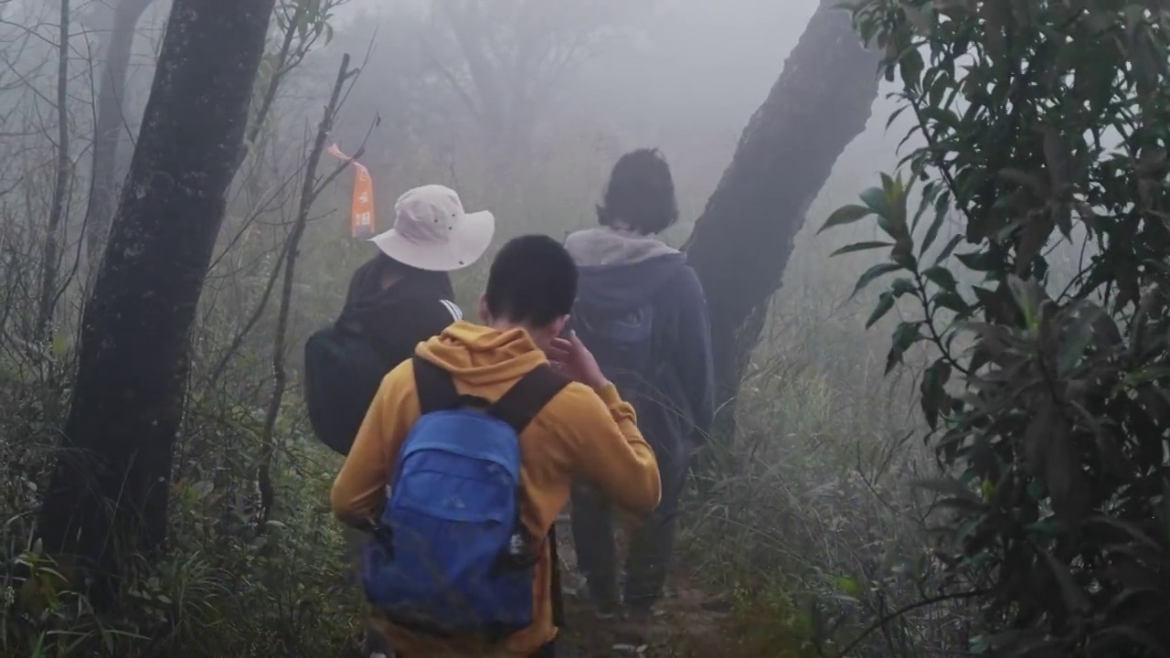 一群亚洲游客背包穿越森林和高山，去户外看大自然。野生动物概念中的徒步和步道活动。视频素材