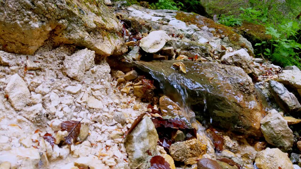 一个小溪流与少量纯净的山涧流水的近距离视频视频素材