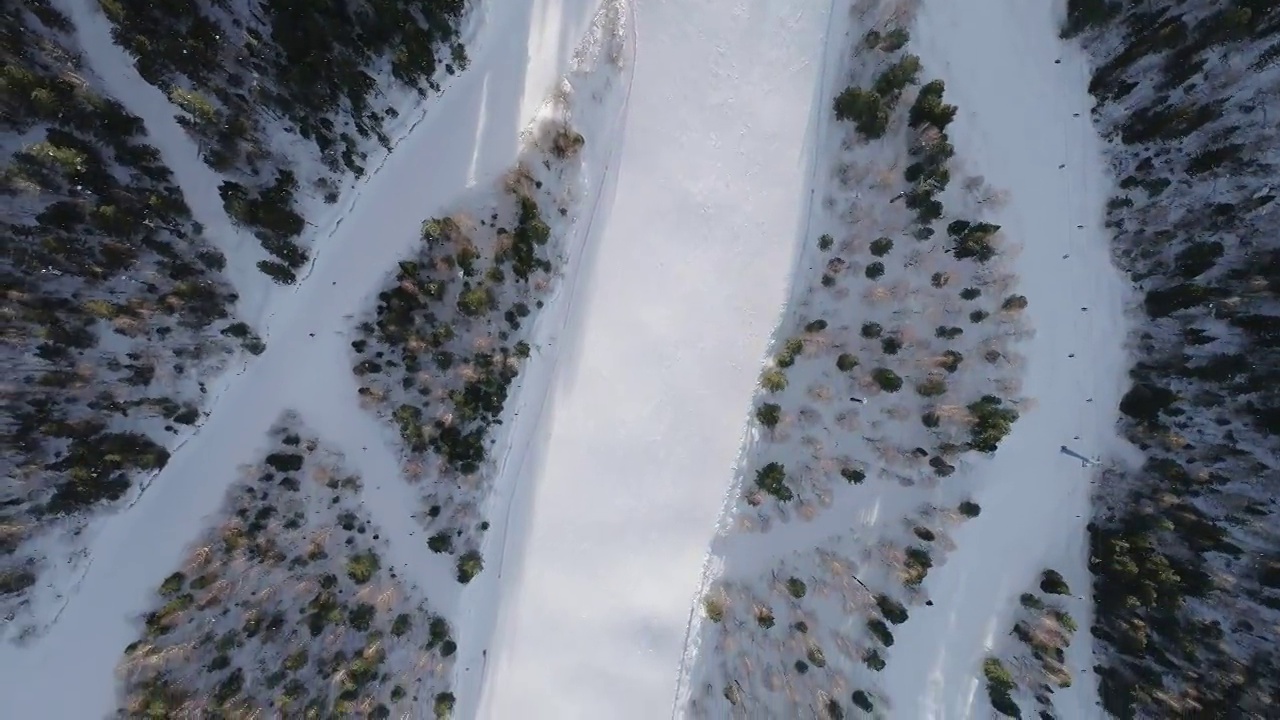 在晴朗的冬日里，滑雪者沿着树木之间的滑雪斜坡向下俯瞰，滑雪椅在一边向上移动。视频素材