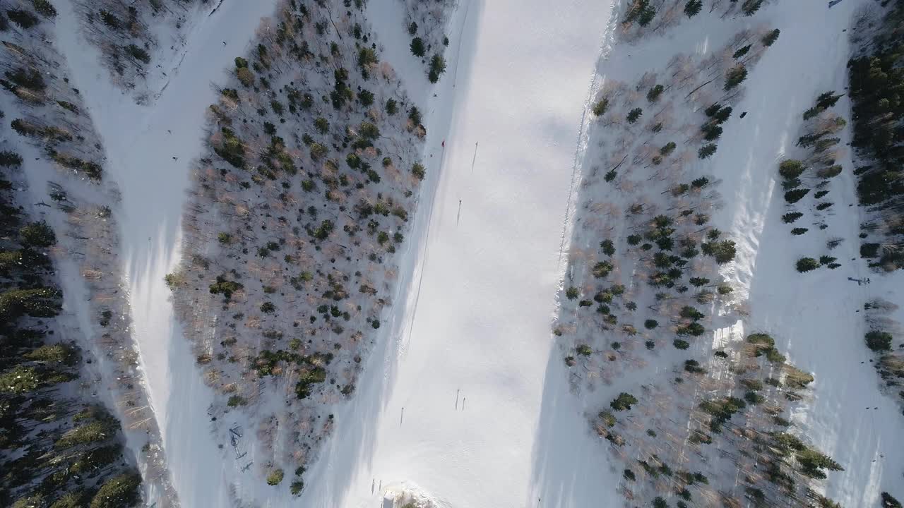 在晴朗的冬日里，滑雪者沿着树木之间的滑雪斜坡向下俯瞰，滑雪椅在一边向上移动。视频素材