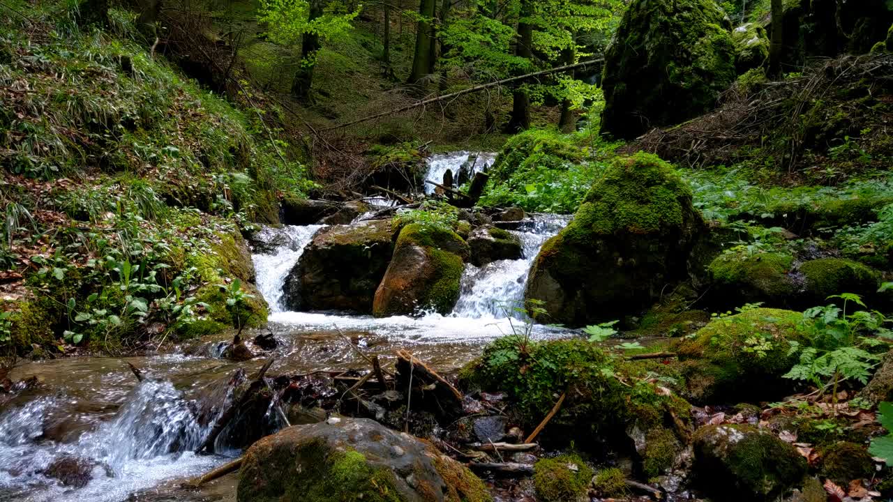 森林山涧流过长满青苔的岩石。森林中的小河流瀑布视频素材