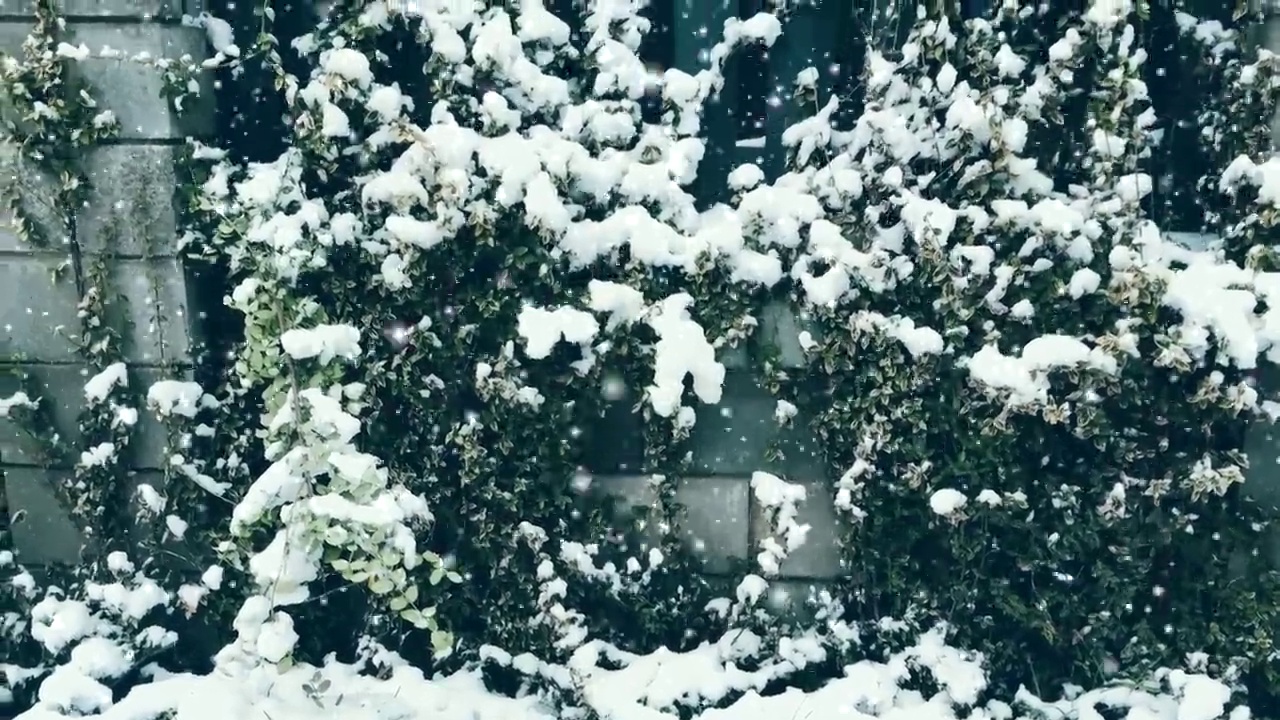 圣诞的节日背景，雪花纷飞，满园白雪，冬天和圣诞的时光视频素材