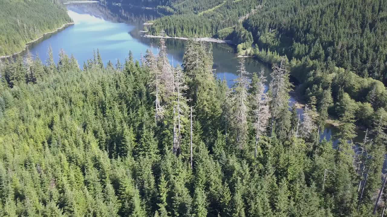 低空掠过平静的山间湖泊视频素材