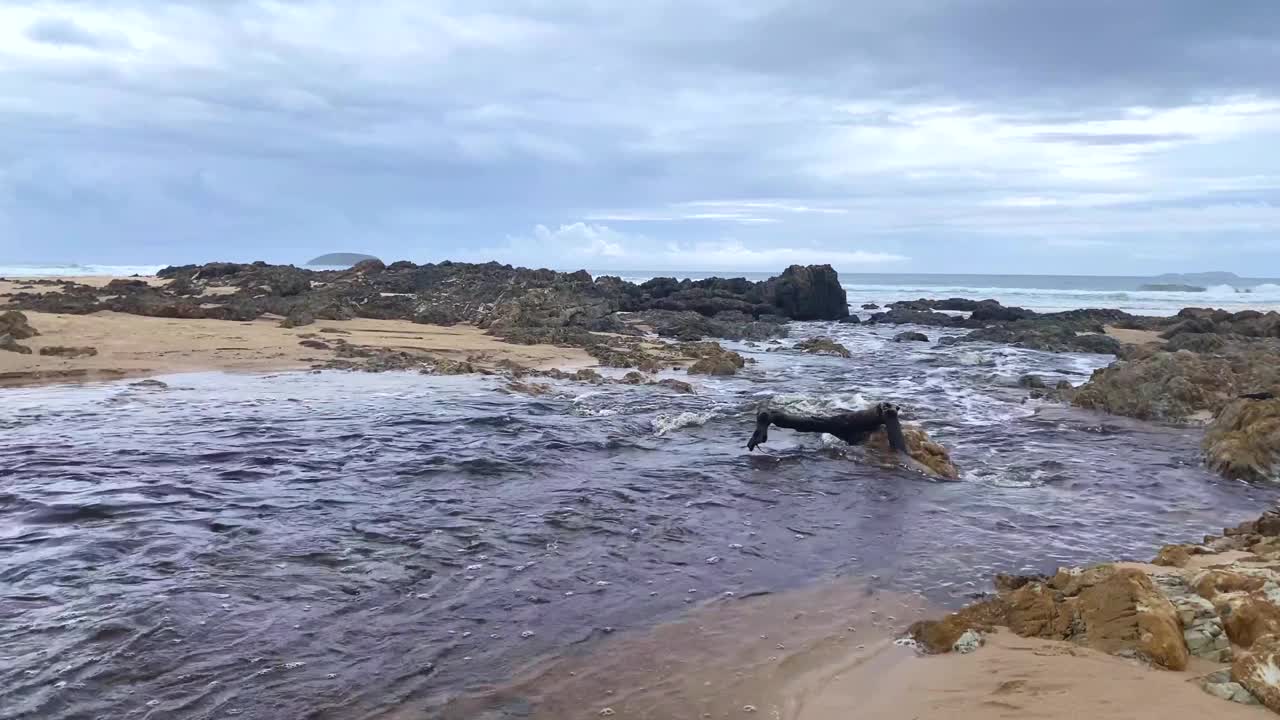 风暴过后河流入海视频素材