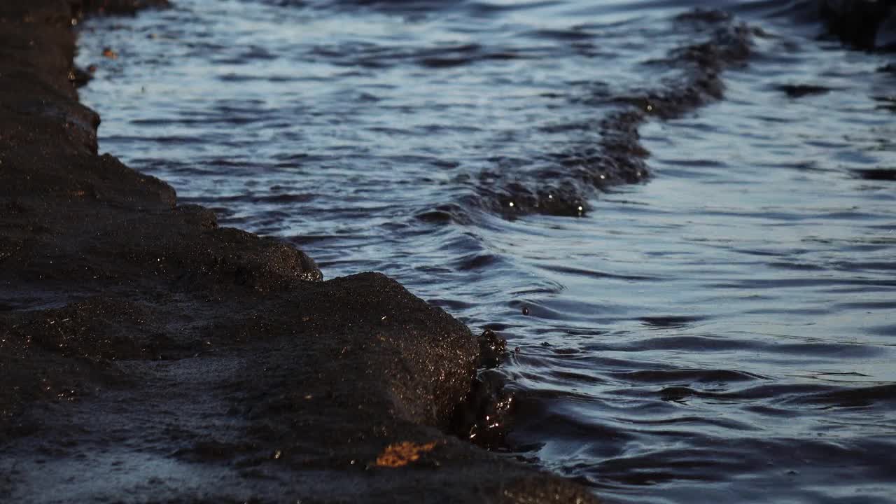 近海的石油污染，生态。视频素材