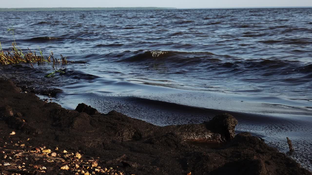 近海的石油污染，生态。视频素材