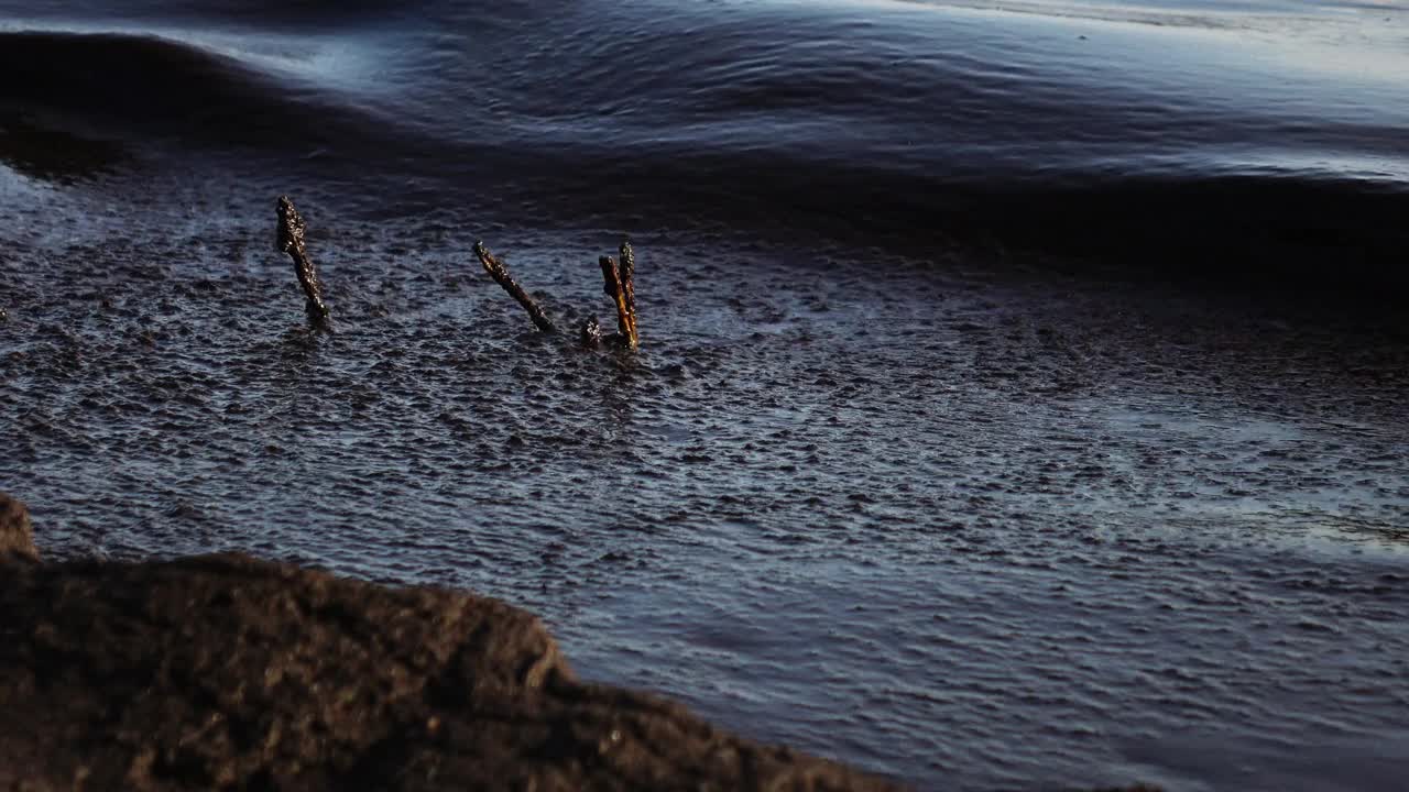 近海的石油污染，生态。视频素材