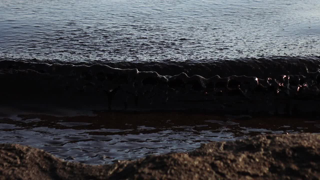 近海的石油污染，生态。视频素材