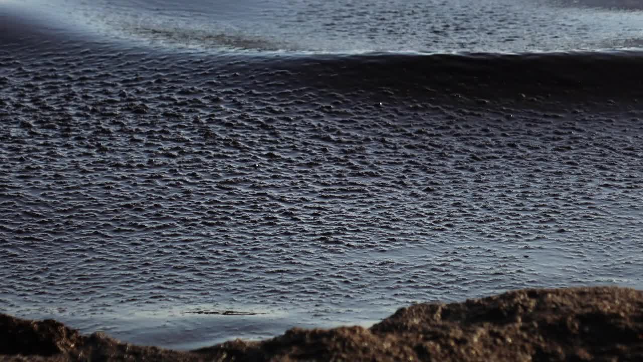 近海的石油污染，生态。视频素材