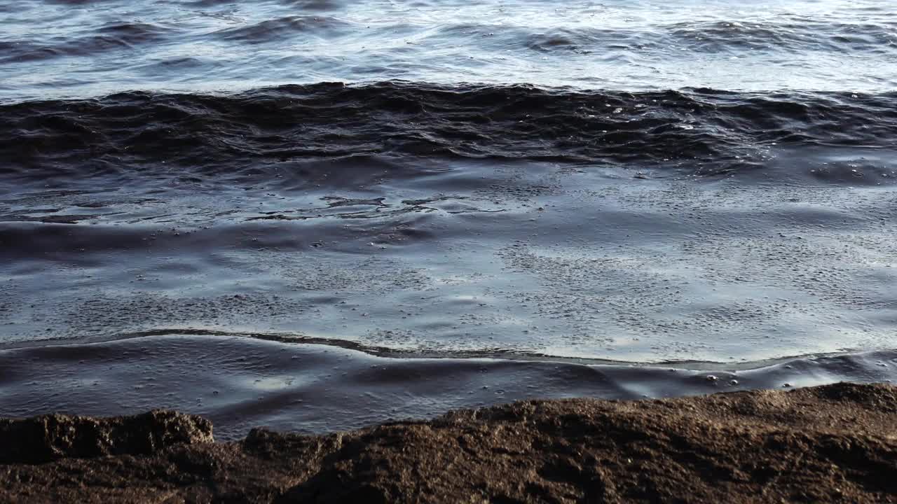 近海的石油污染，生态。视频素材