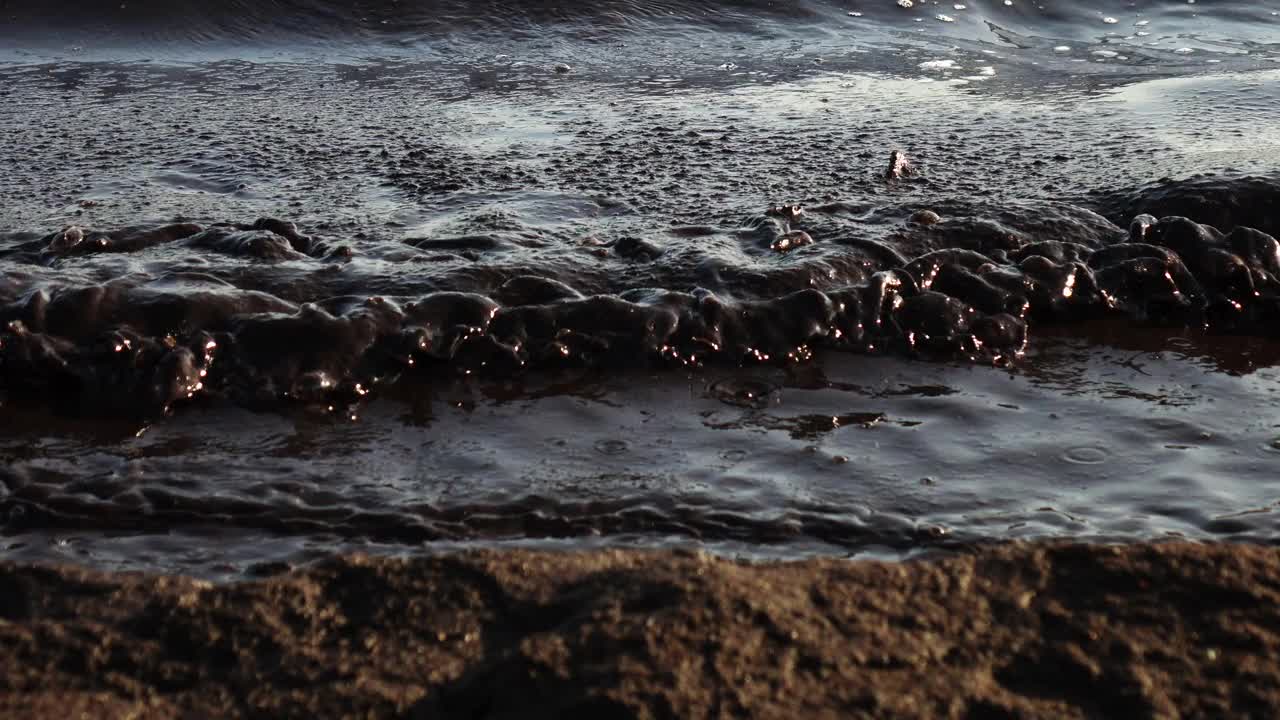 近海的石油污染，生态。视频素材