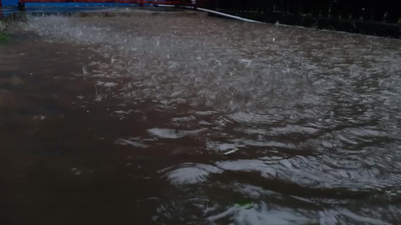 雨视频素材