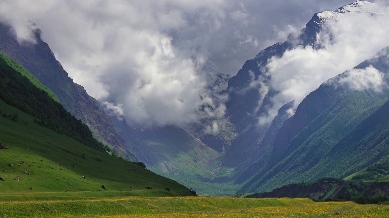 野花草地和高山视频素材