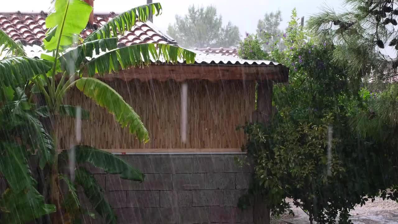 雨视频素材