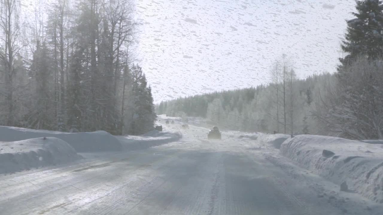 森林公路上的大雪视频素材