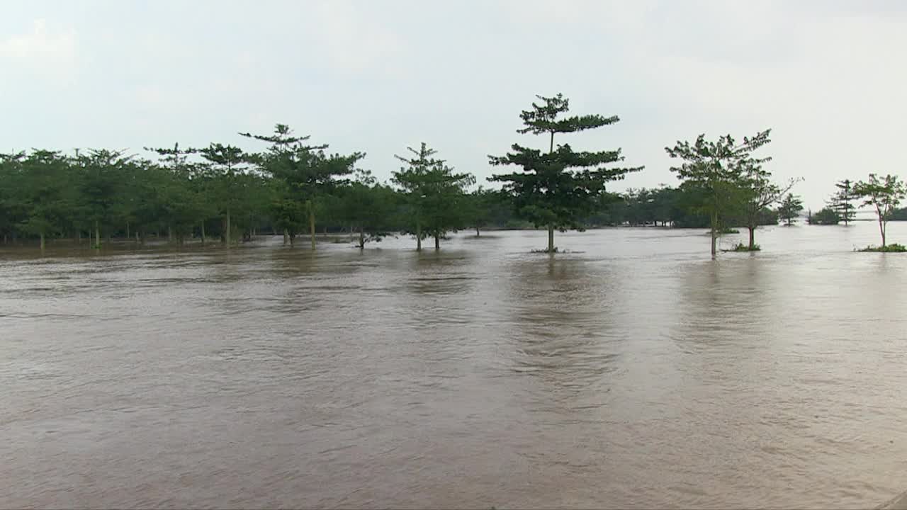 湄公河的水淹没了农田视频素材