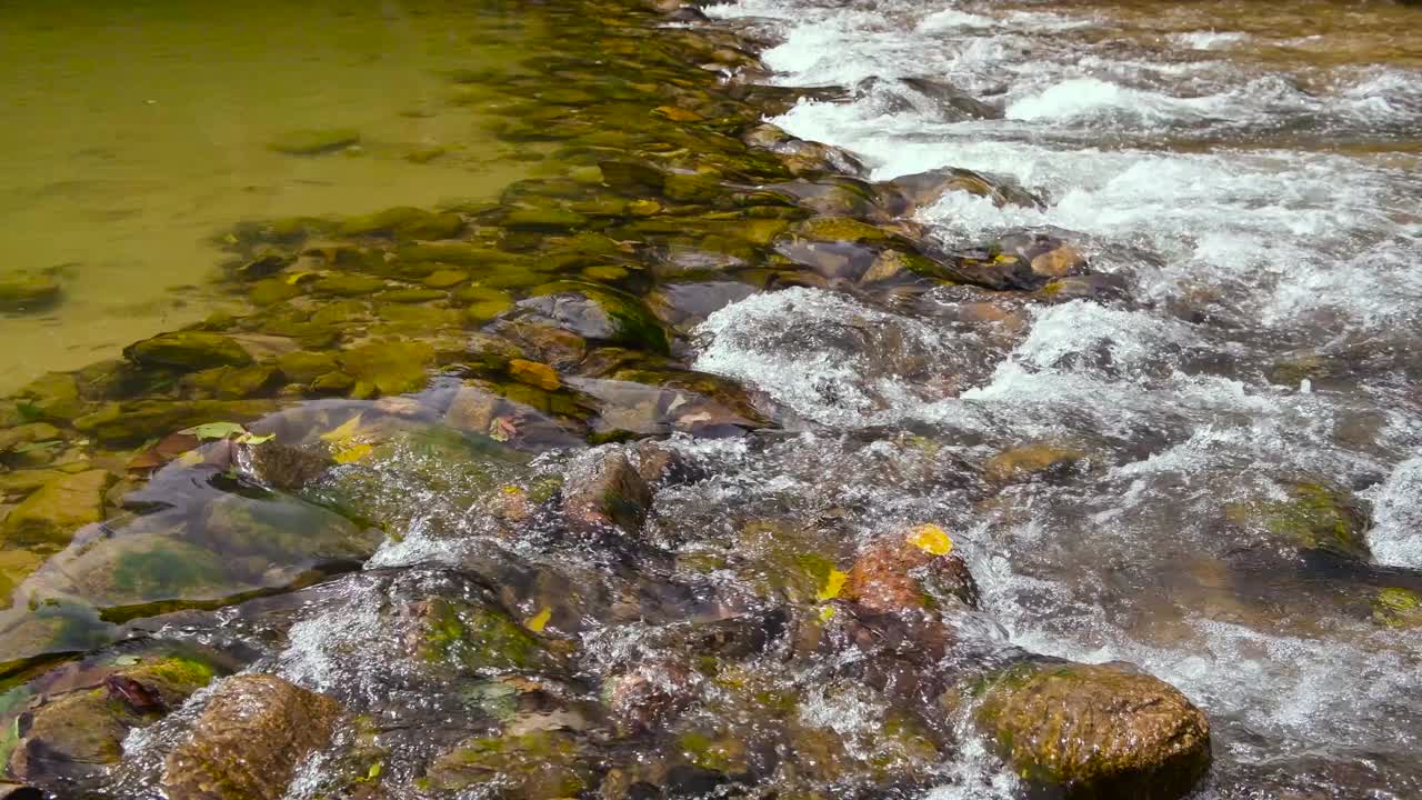 河中流动的水视频素材