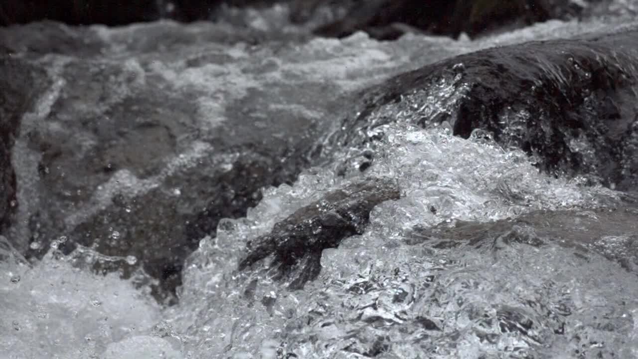 清澈的淡水流入(超级慢动作)视频素材