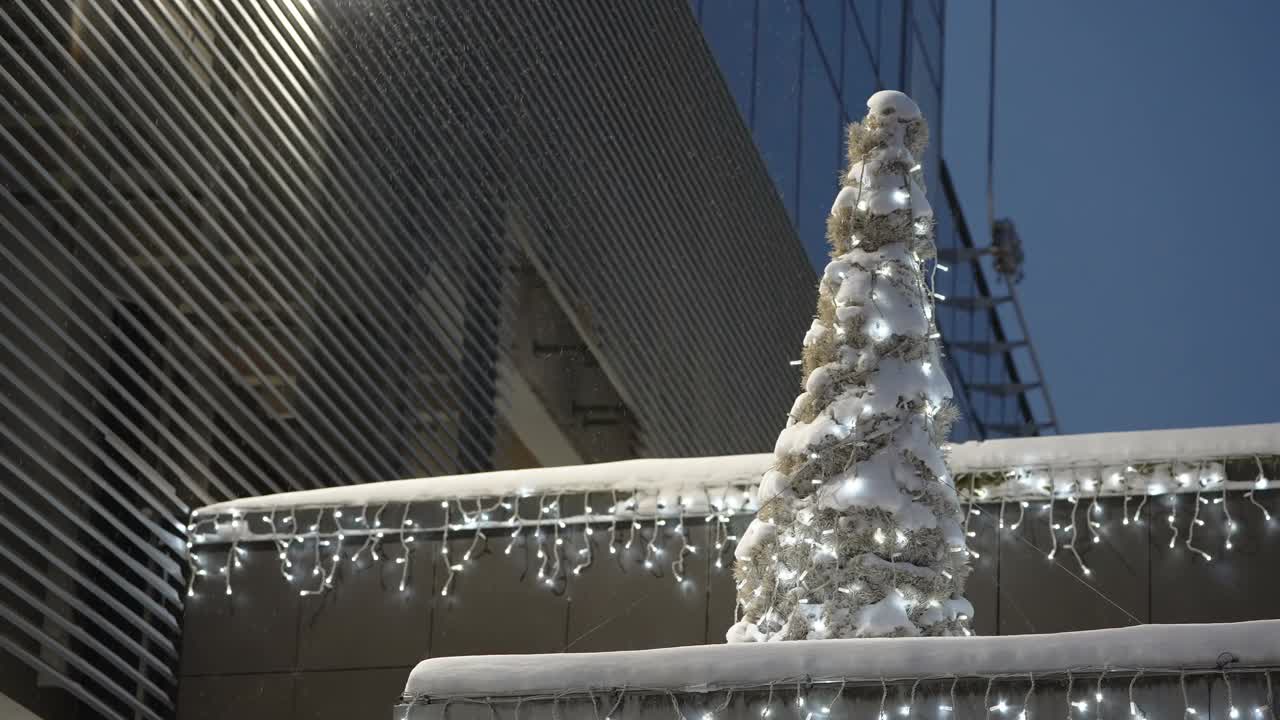 在爱沙尼亚的塔尔图，一棵满是雪的小圣诞树视频素材