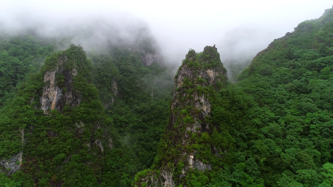 雾中的德杭山风景/韩国江原道三陟市视频素材