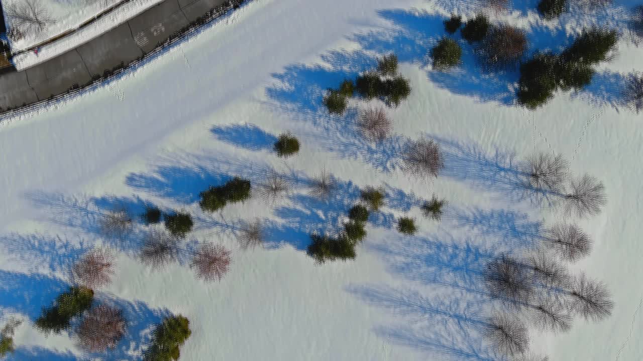 在美国，美丽的白雪覆盖的城市街道上有一栋公寓大楼视频素材