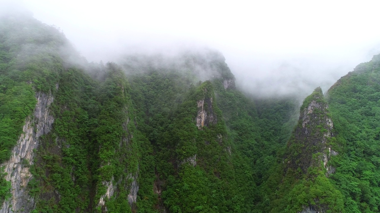 雾中的德杭山风景/韩国江原道三陟市视频素材