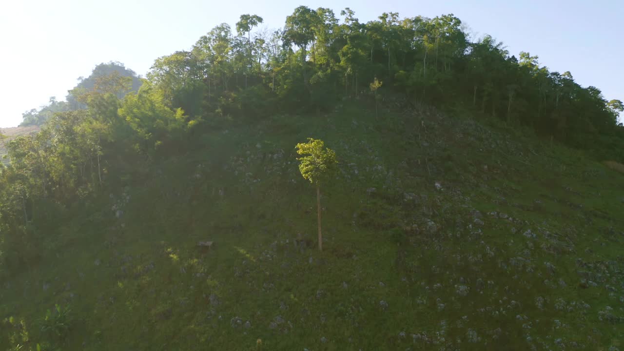 鸟瞰一棵孤独的树与森林树和绿色的山。自然景观背景，泰国。视频素材