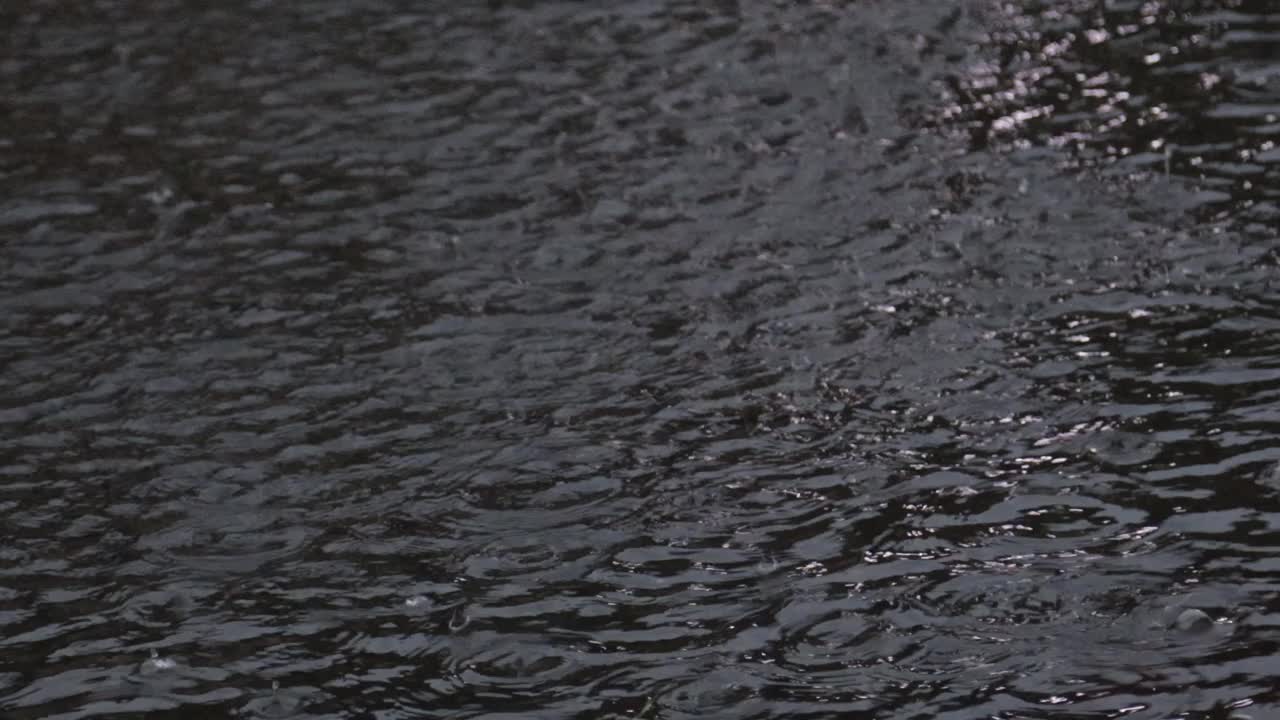 大雨滂沱，雨点在河面上形成不规则的图案视频素材