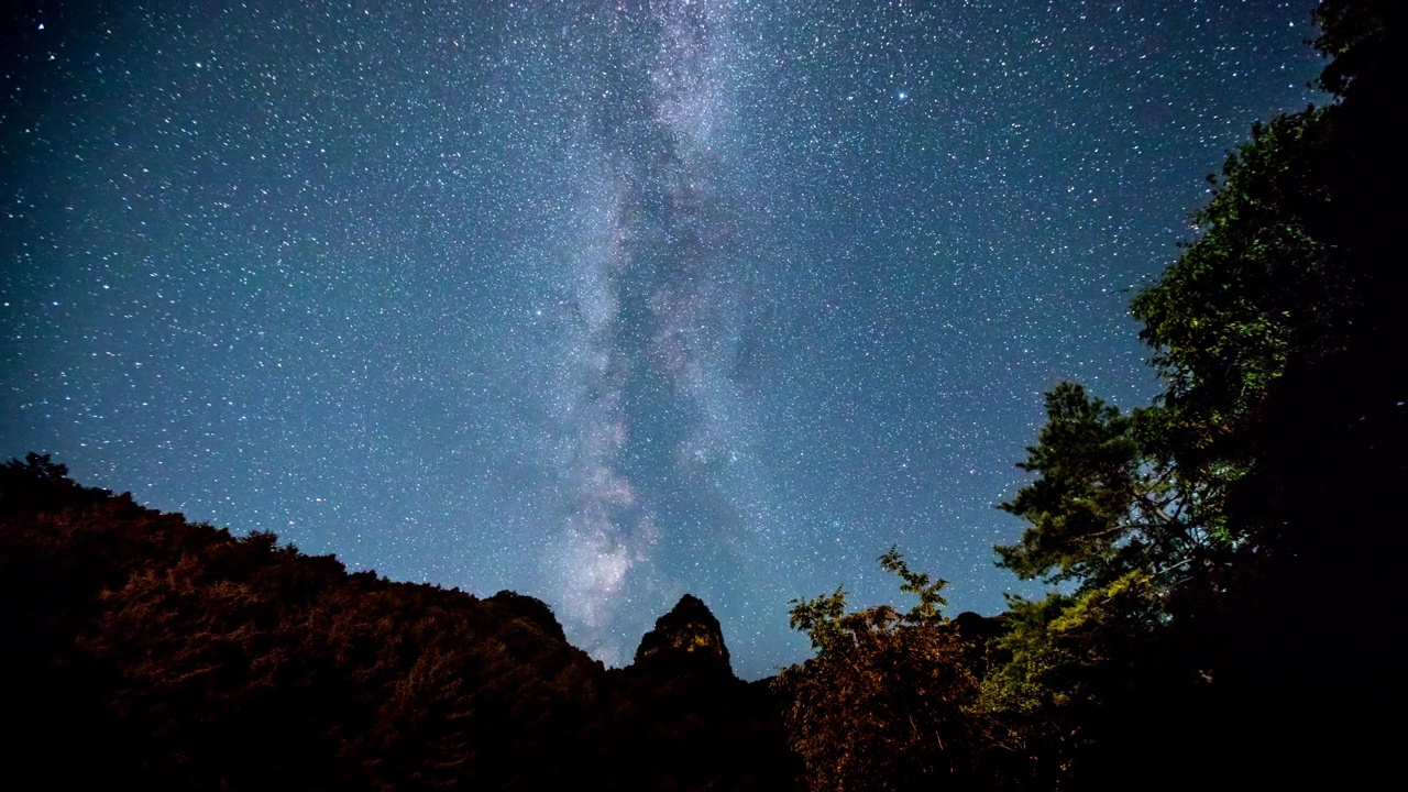 仰望森林的夜空风景/韩国视频素材